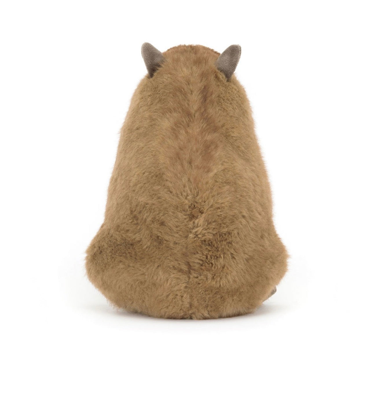 Clyde Capybara