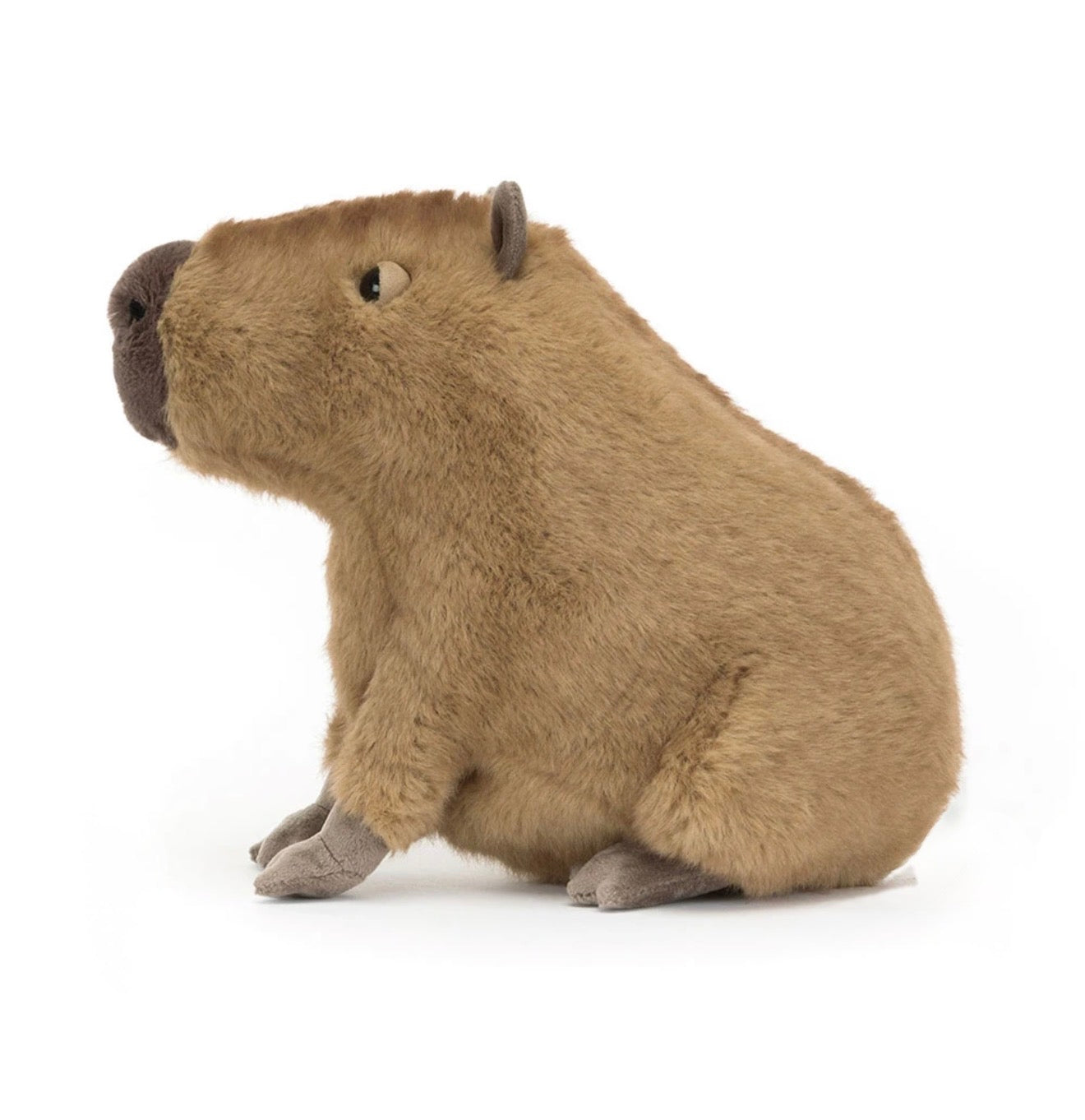 Clyde Capybara