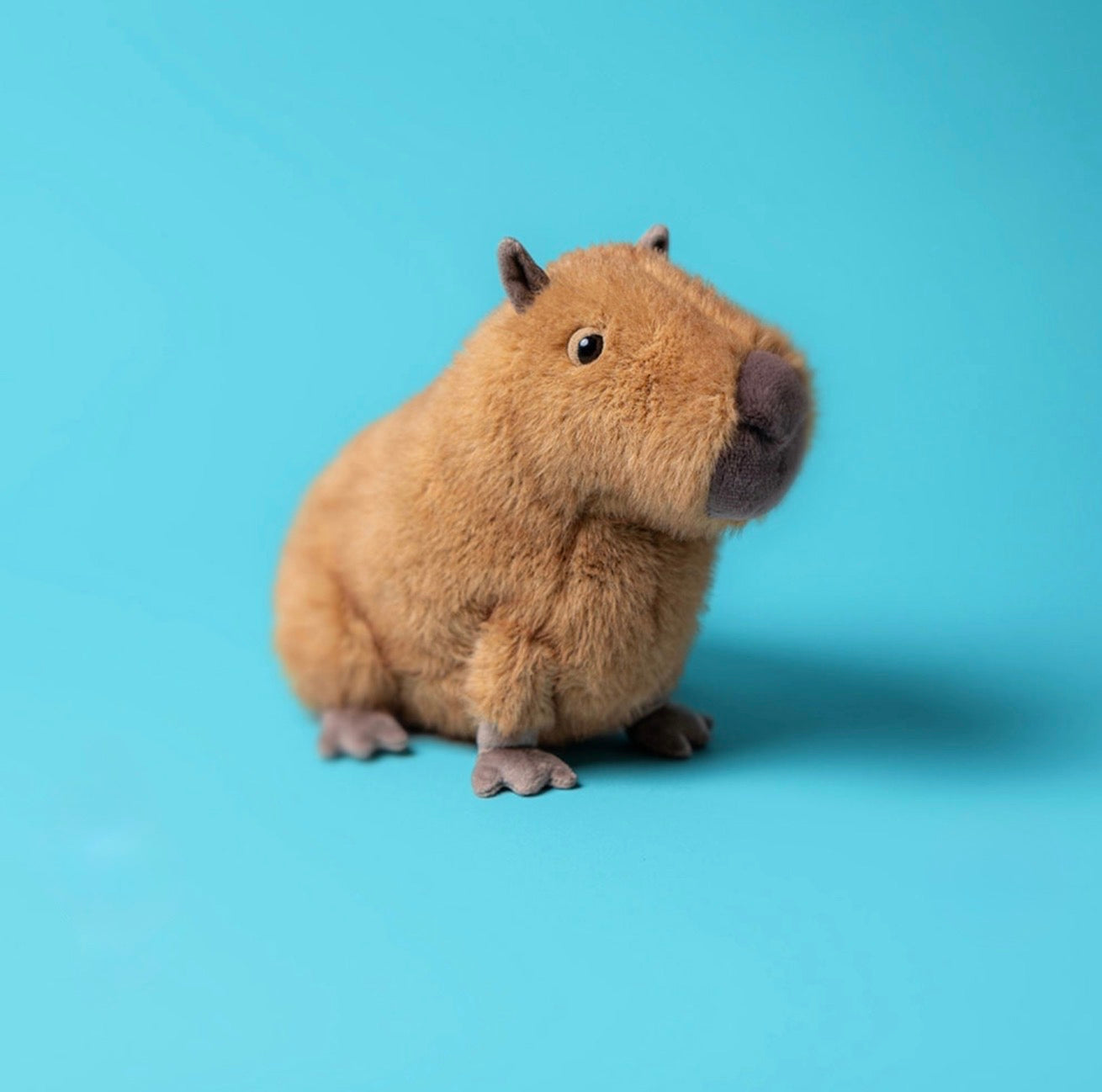 Clyde Capybara