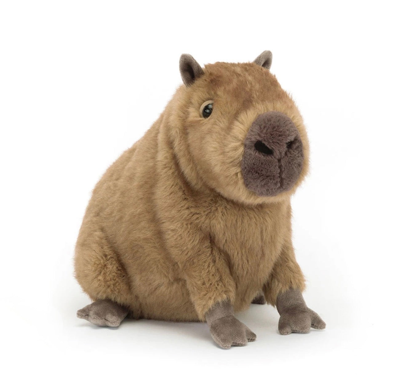 Clyde Capybara