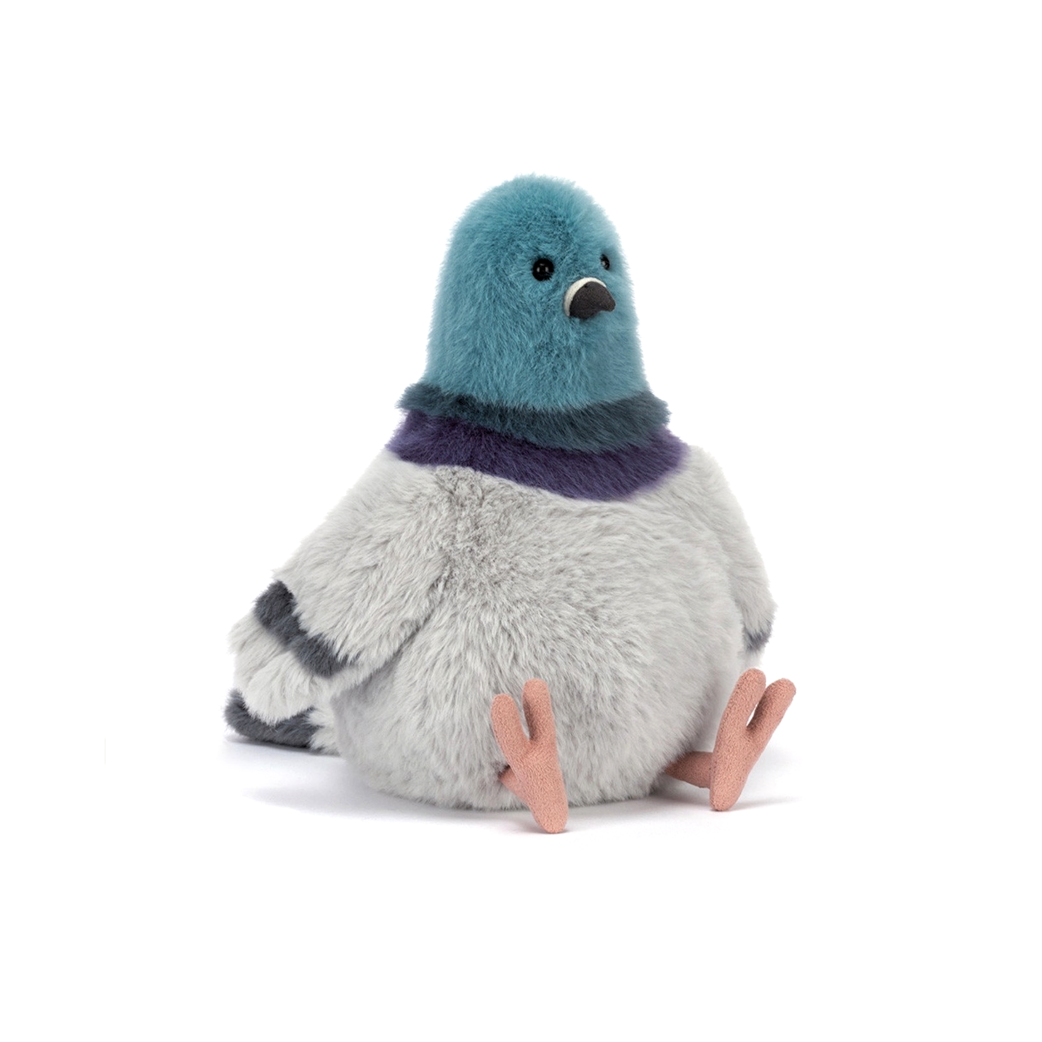 Strutton Pigeon