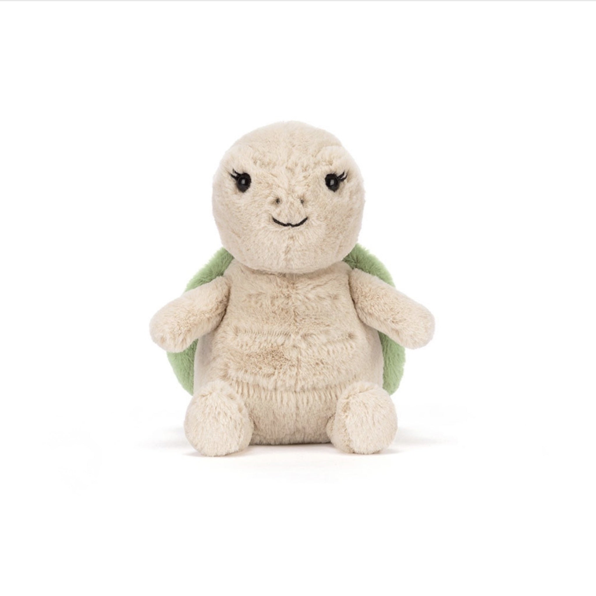 Thimble Turtle