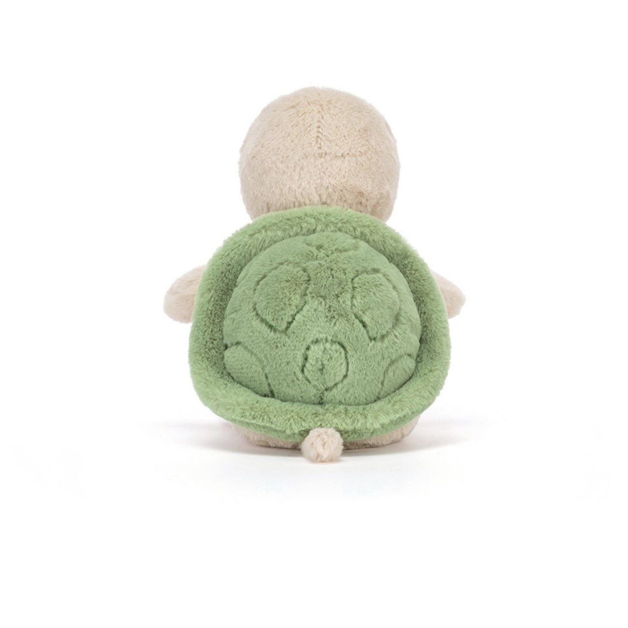 Thimble Turtle