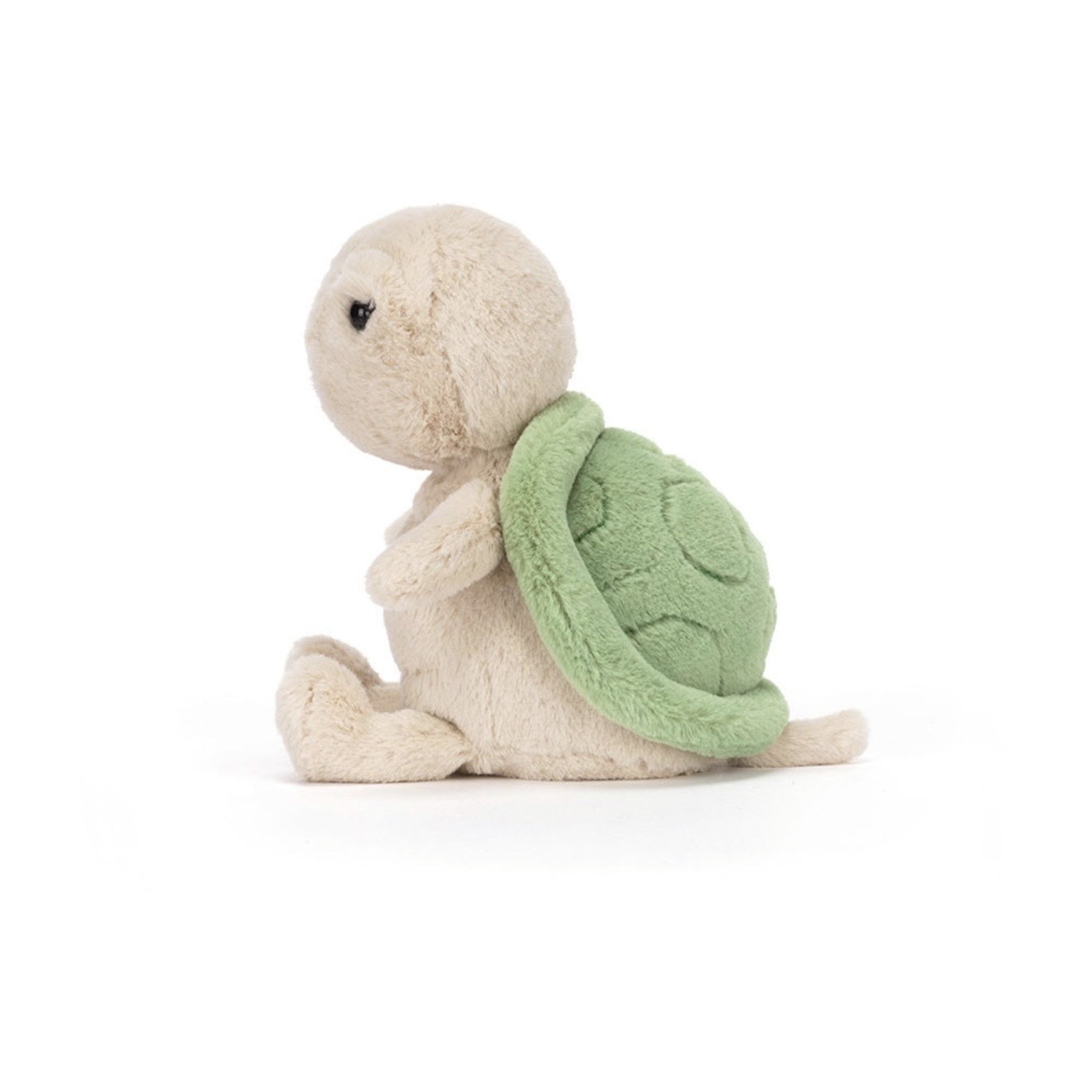 Thimble Turtle