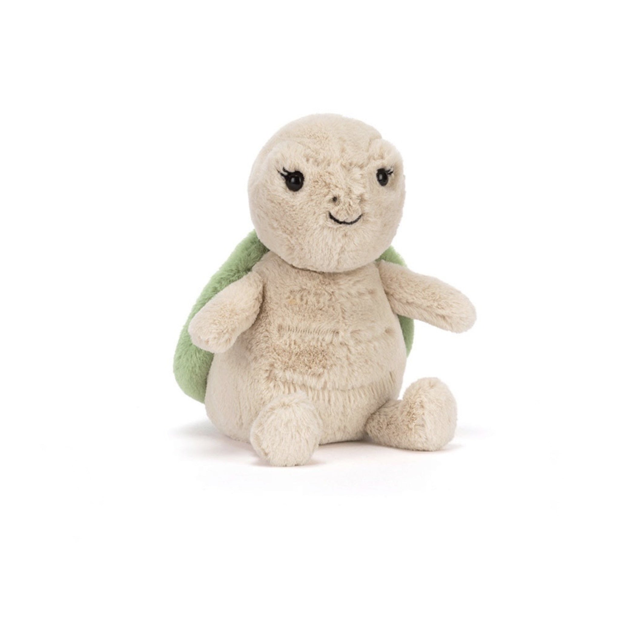 Thimble Turtle