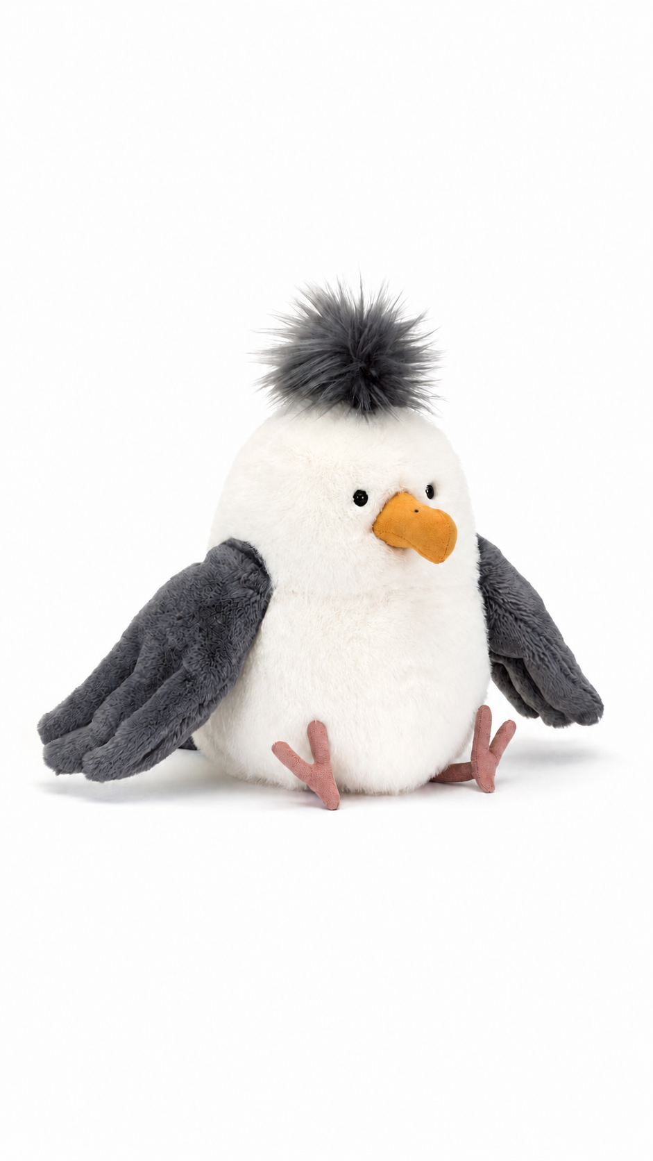 Chip Seagull