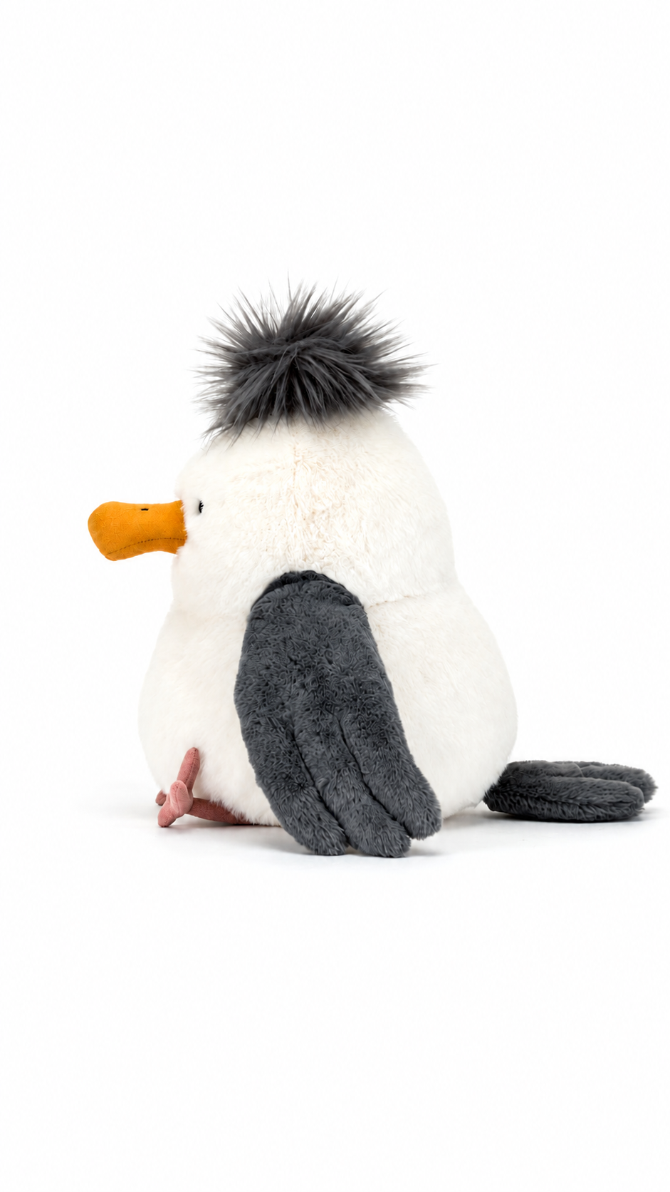 Chip Seagull