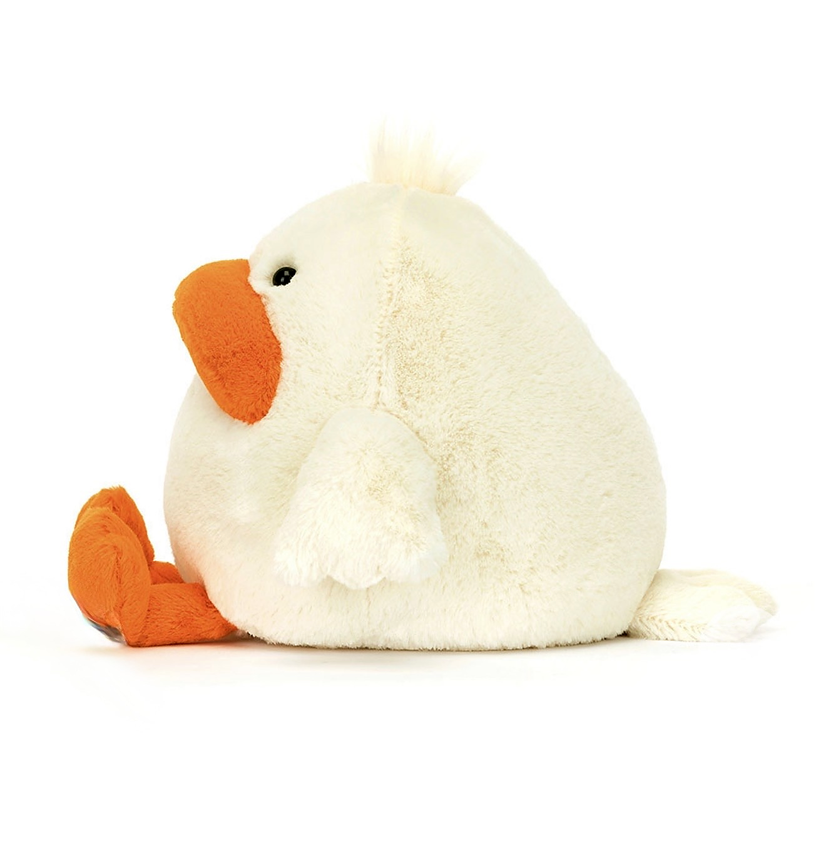 Delia Duck